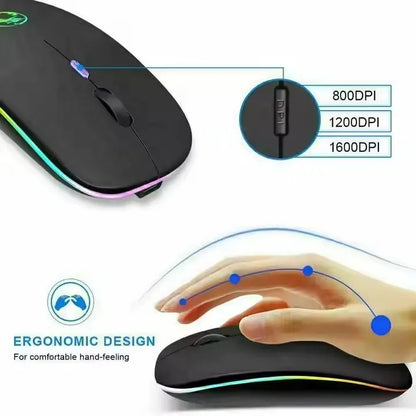 Souris rechargeable, Bluetooth et USB, PC, Tablette et Ordinateur